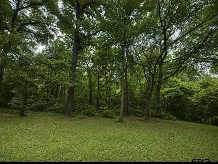 CR 4510 Winnsboro, TX 75494