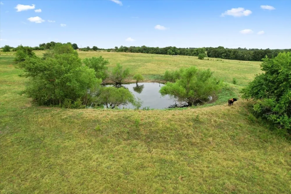 Whitaker Road Van Alstyne, TX 75495