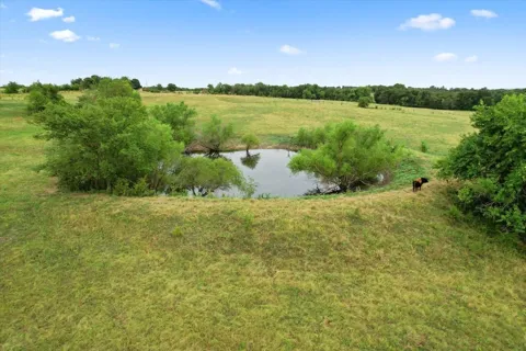 Whitaker Road