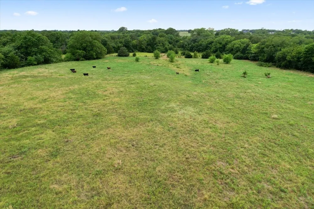 Whitaker Road Van Alstyne, TX 75495