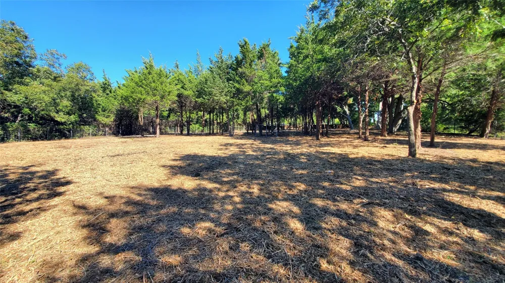 CR 438 Princeton, TX 75407