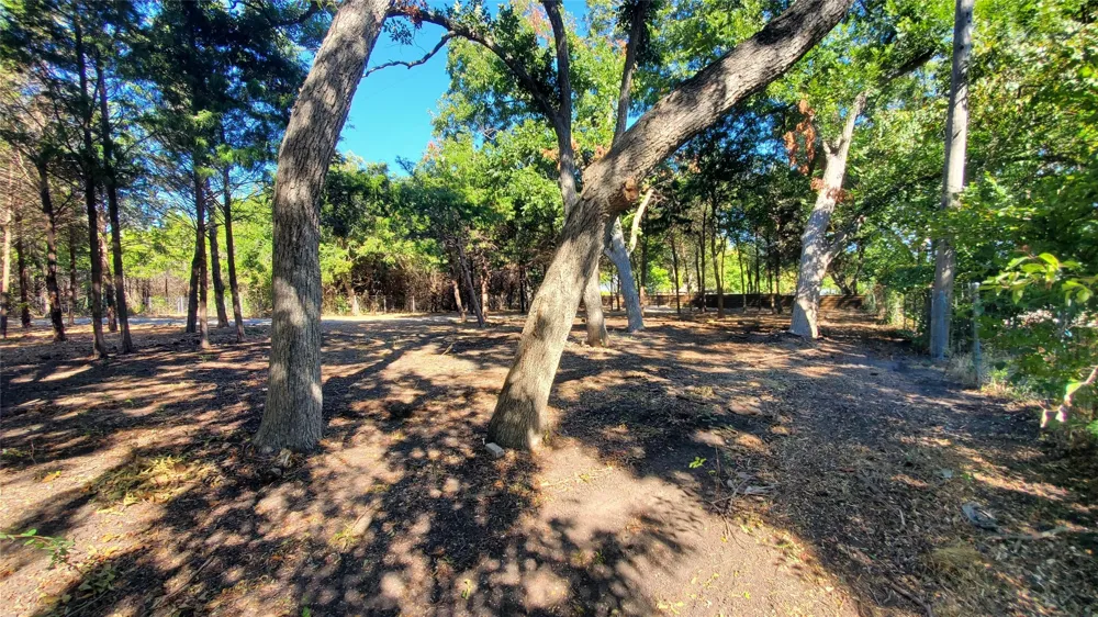 CR 438 Princeton, TX 75407