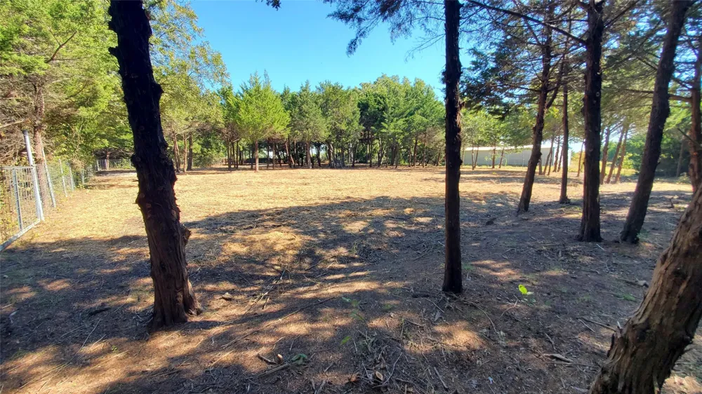 CR 438 Princeton, TX 75407