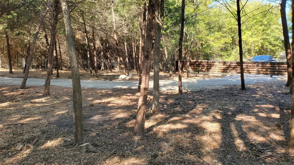 CR 438 Princeton, TX 75407