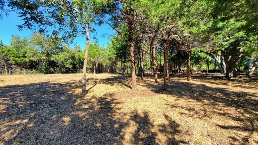 CR 438 Princeton, TX 75407