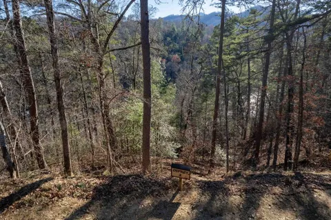 Osprey Mountain Way