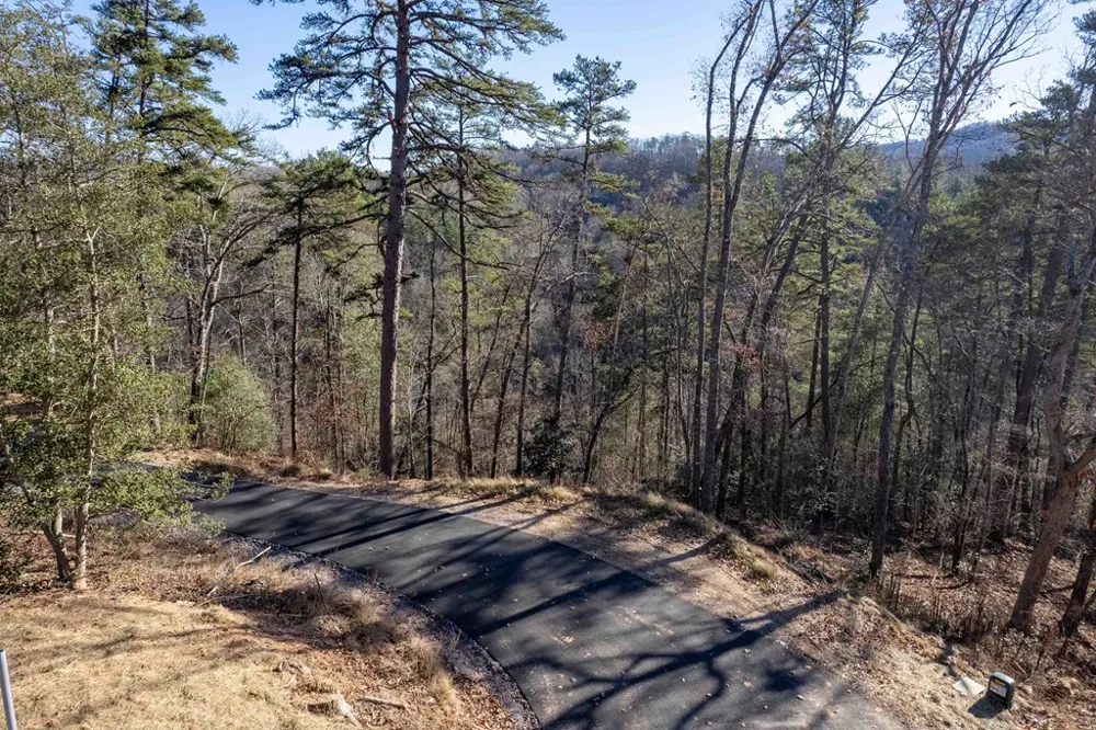 Osprey Mountain Way Sylva, NC 28779