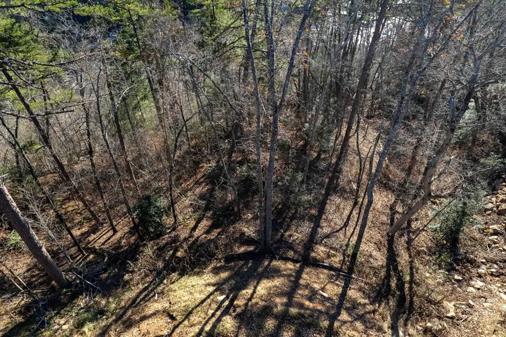 Osprey Mountain Way Sylva, NC 28779