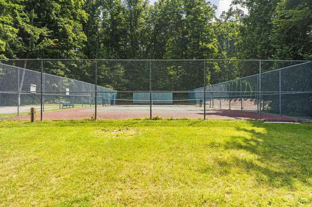 3855 White Birch Drive Green Lake Township, MI 49637