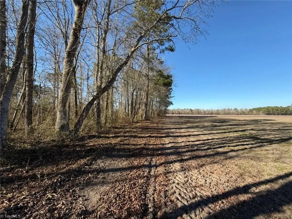 00 Hammonds Road Lumberton, NC 28360