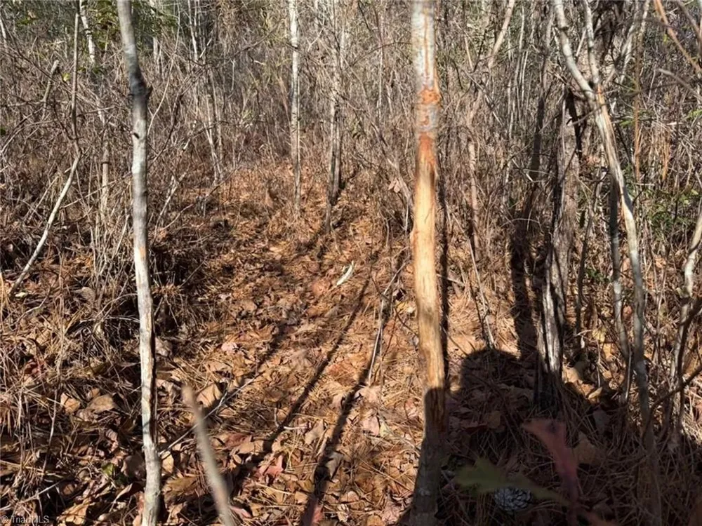 00 Hammonds Road Lumberton, NC 28360