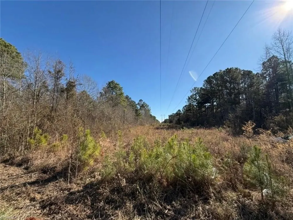 00 Hammonds Road Lumberton, NC 28360