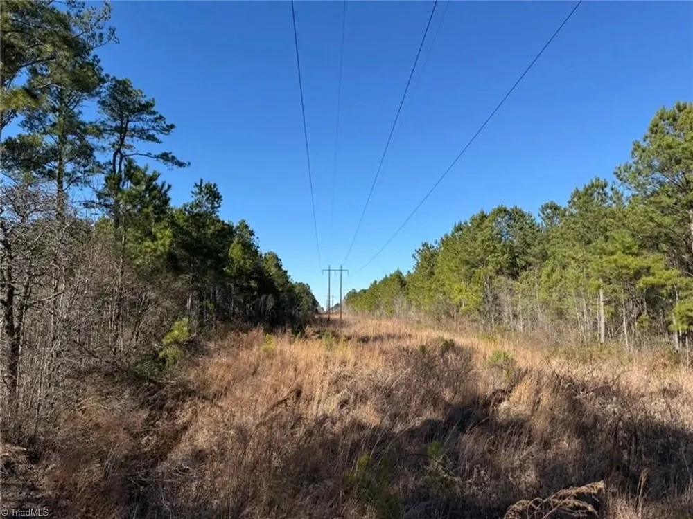 00 Hammonds Road Lumberton, NC 28360