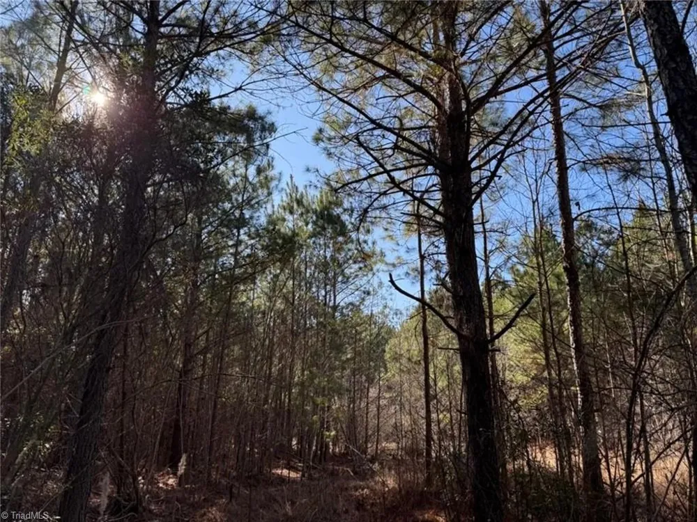 00 Hammonds Road Lumberton, NC 28360