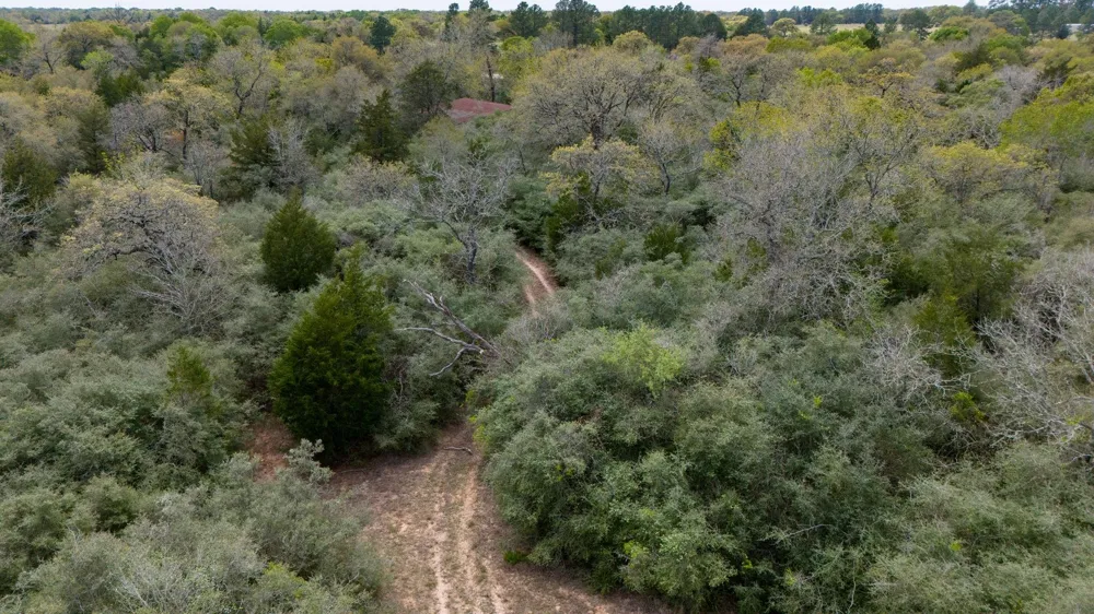 Us Hwy 90a Sheridan, TX 77964