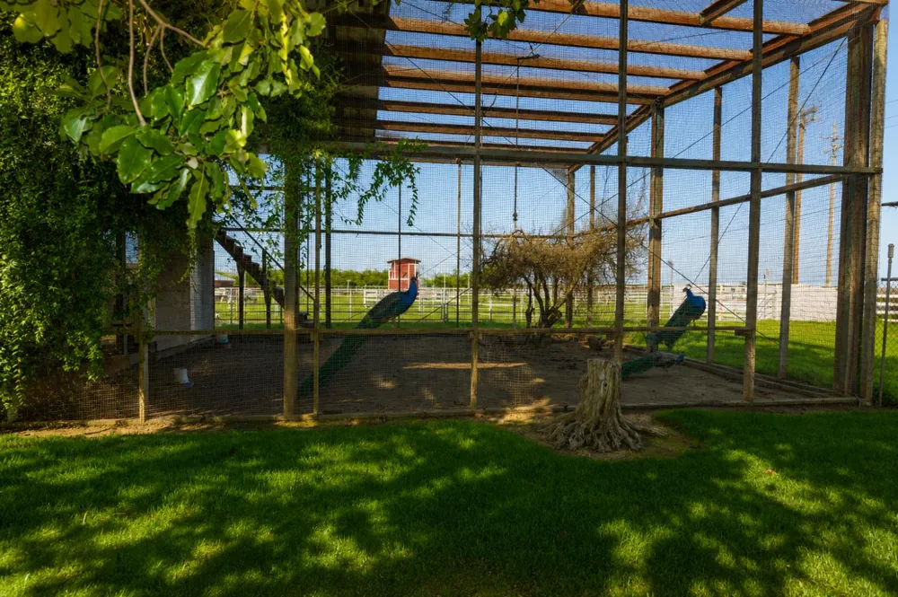 14901 S Highland Ave Selma, CA 93662