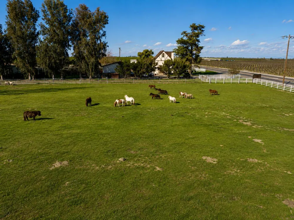 14901 S Highland Ave Selma, CA 93662