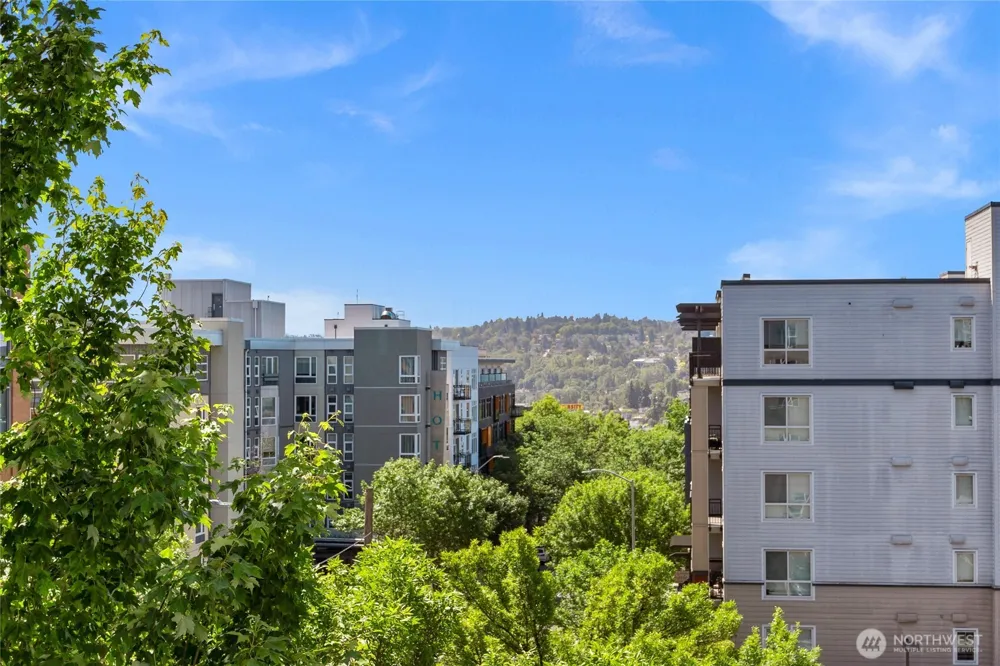 4343 Roosevelt Way NE #401 Seattle, WA 98105