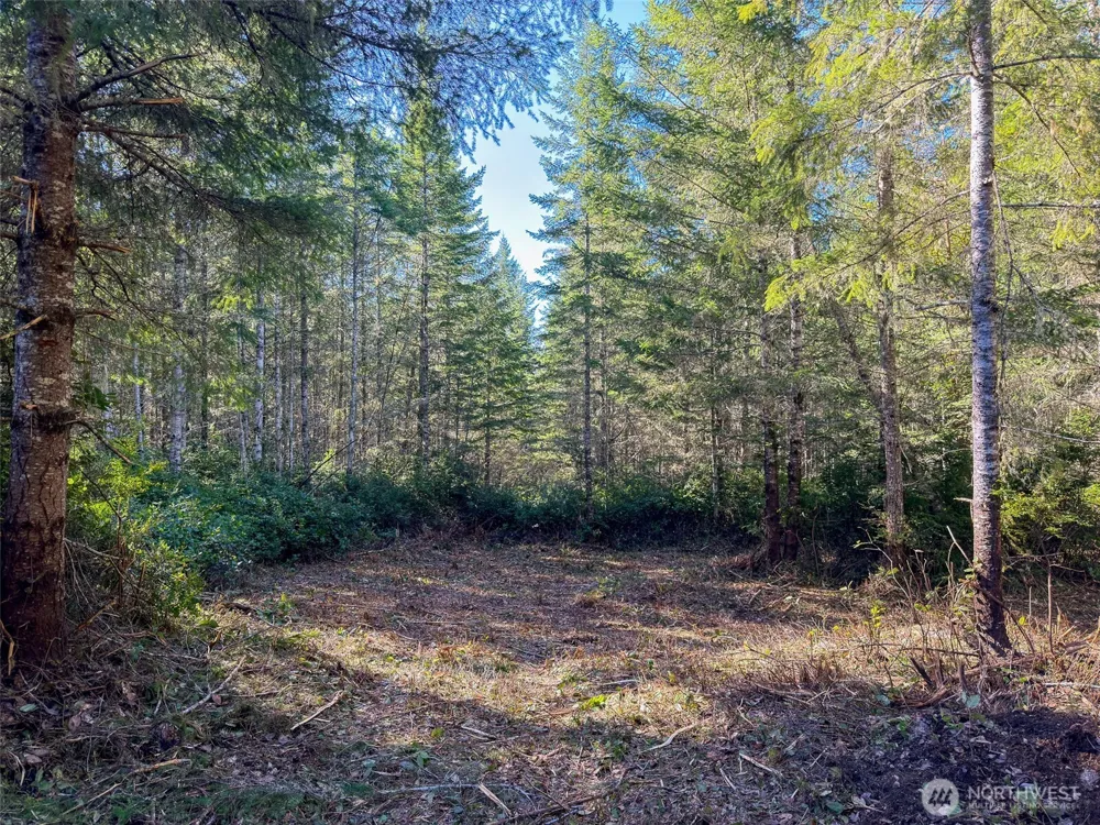 222 x Octopus Court Quilcene, WA 98376
