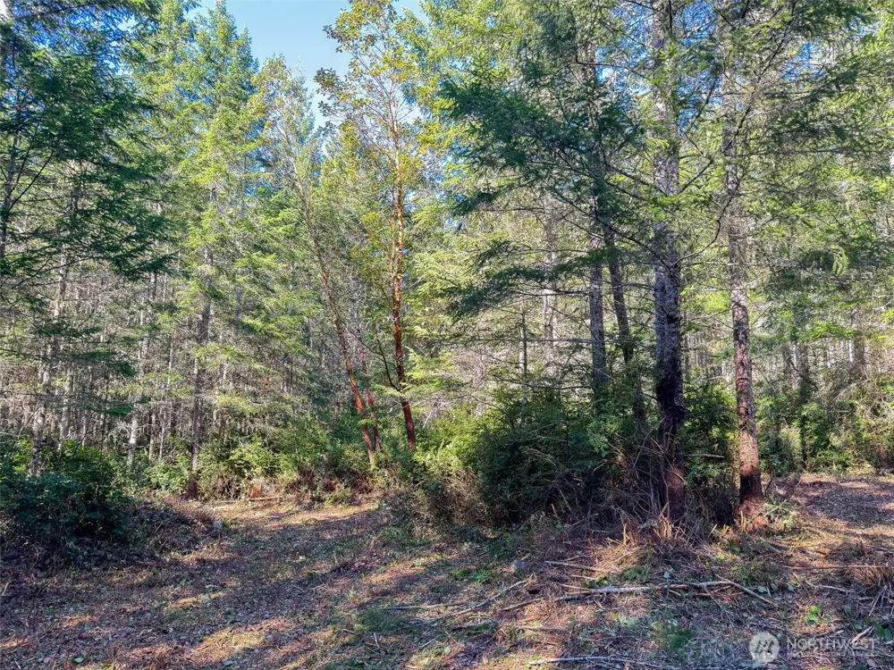 222 x Octopus Court Quilcene, WA 98376