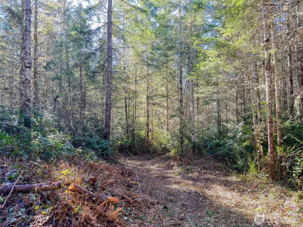 222 x Octopus Court Quilcene, WA 98376