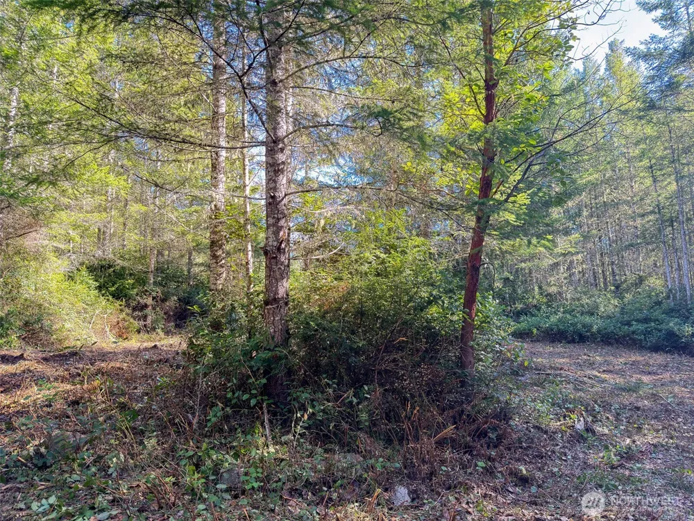 222 x Octopus Court Quilcene, WA 98376