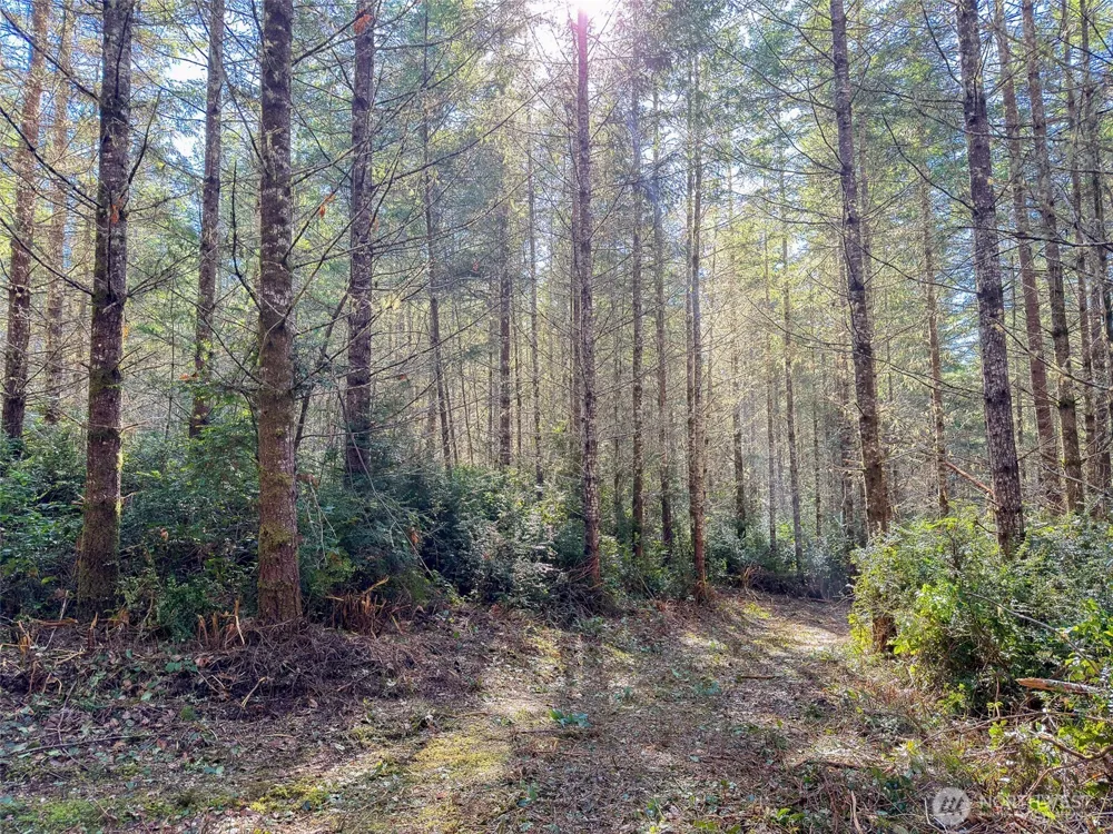 222 x Octopus Court Quilcene, WA 98376