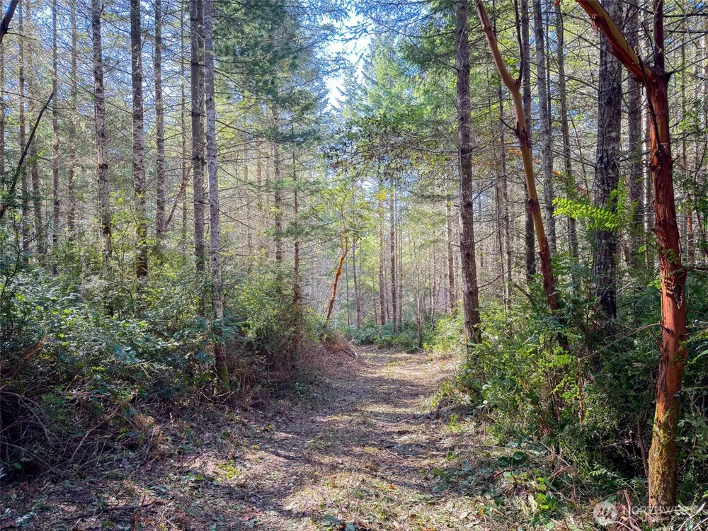 222 x Octopus Court Quilcene, WA 98376