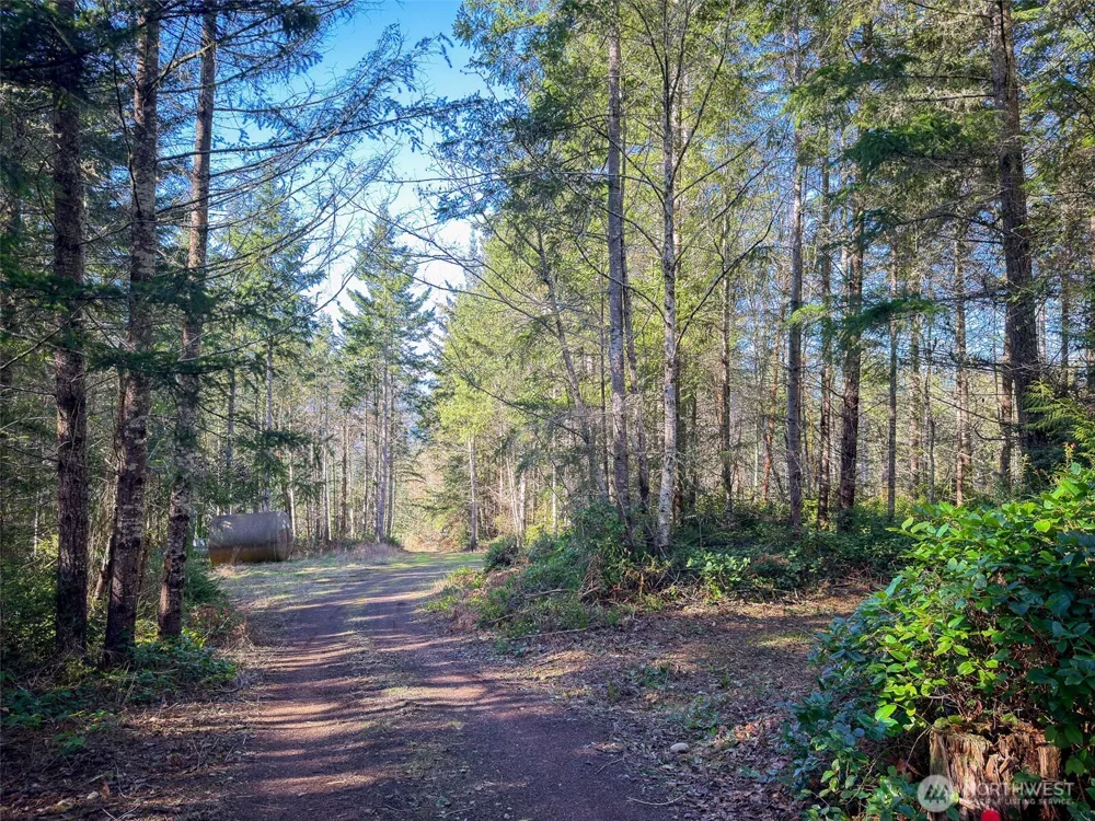 222 x Octopus Court Quilcene, WA 98376