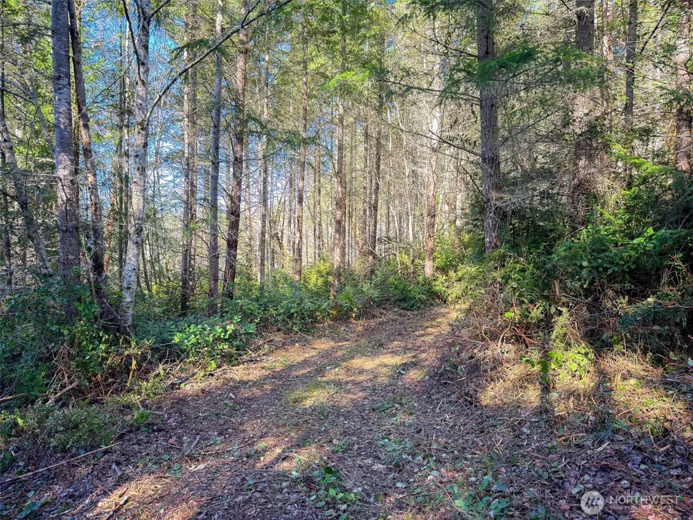 222 x Octopus Court Quilcene, WA 98376