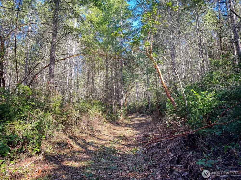 222 x Octopus Court Quilcene, WA 98376