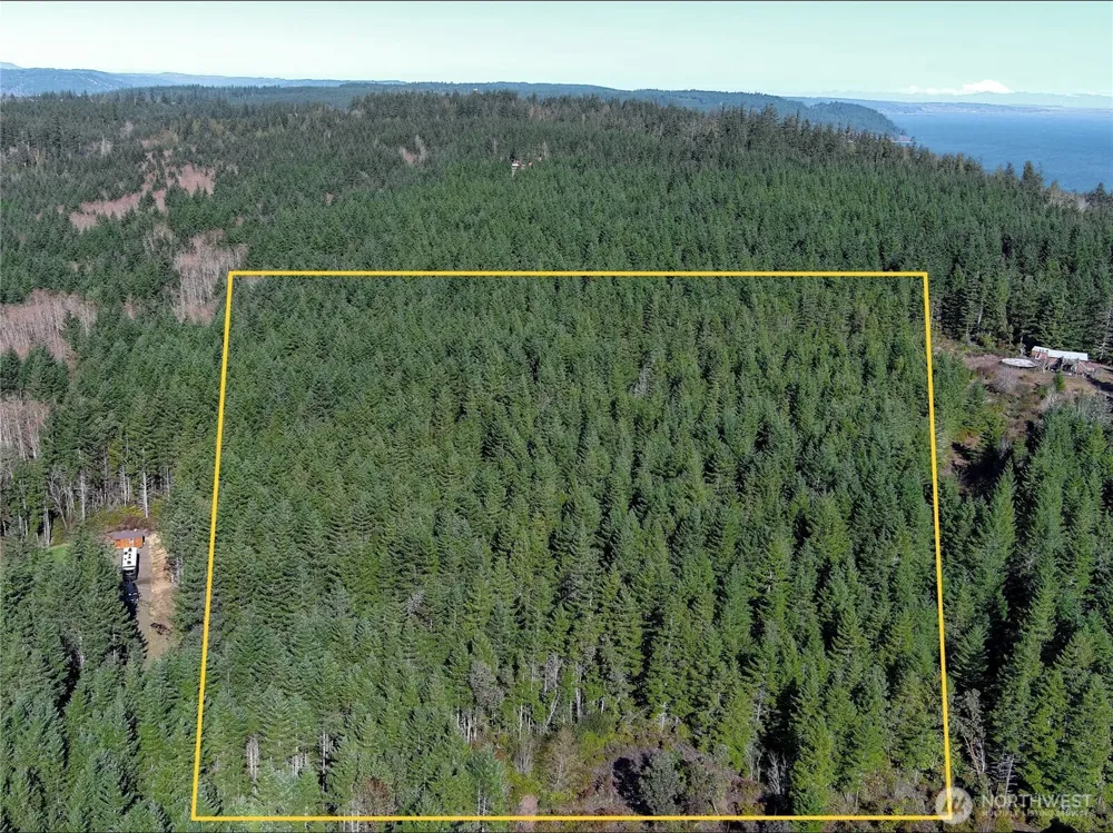 222 x Octopus Court Quilcene, WA 98376