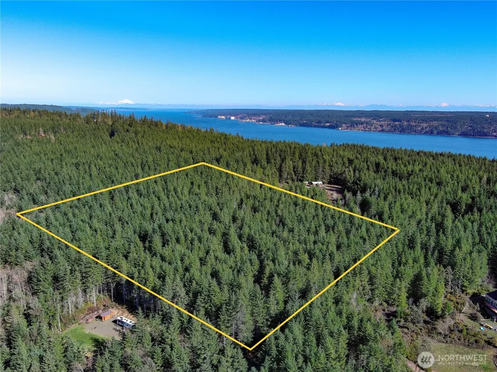 222 x Octopus Court Quilcene, WA 98376