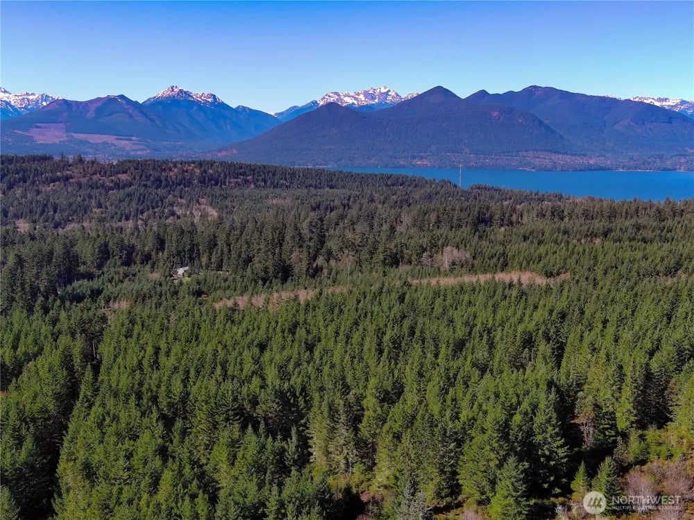 222 x Octopus Court Quilcene, WA 98376