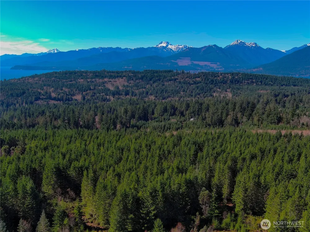 222 x Octopus Court Quilcene, WA 98376
