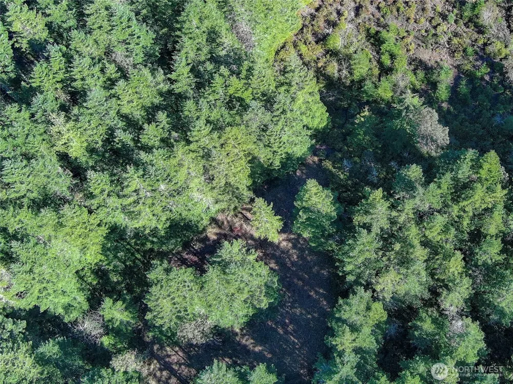 222 x Octopus Court Quilcene, WA 98376