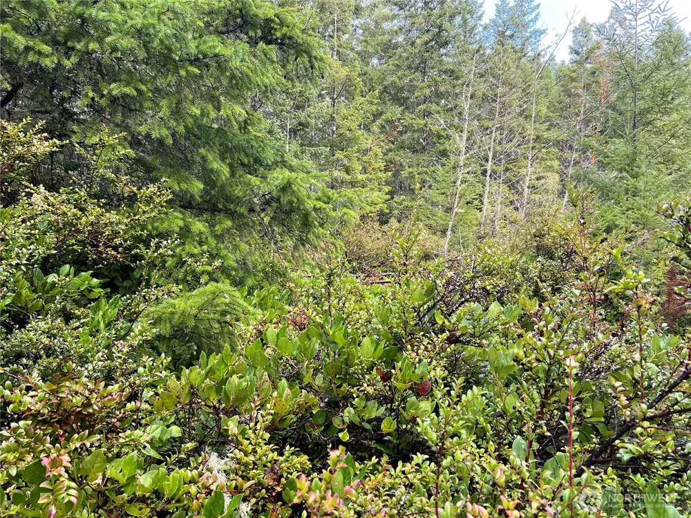 222 x Octopus Court Quilcene, WA 98376