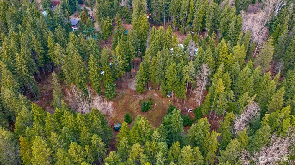 91 Blue Spruce Drive Easton, WA 98925
