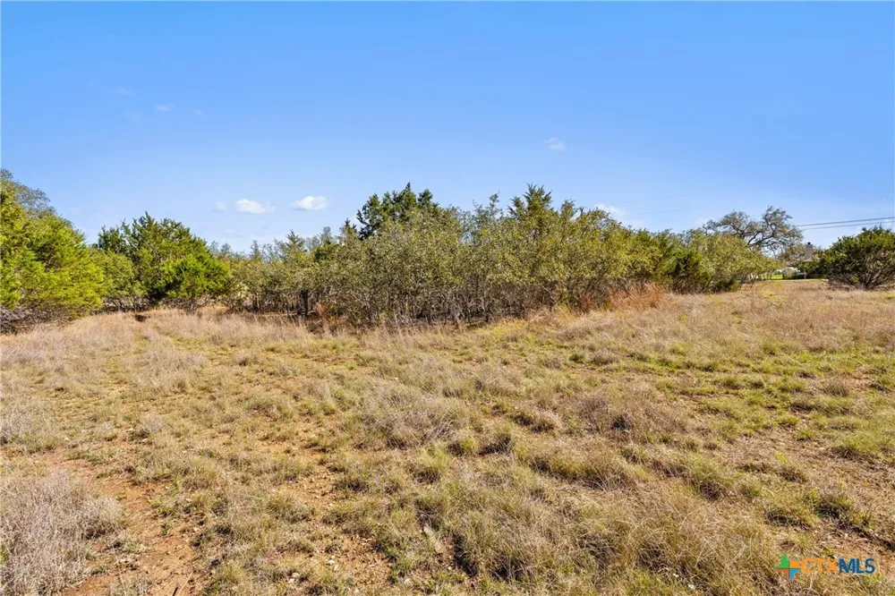 207 Calvin Barrett Blanco, TX 78606