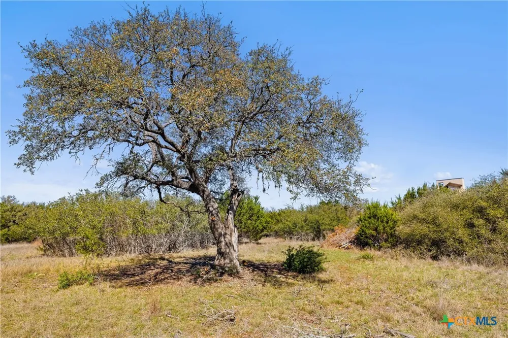 207 Calvin Barrett Blanco, TX 78606