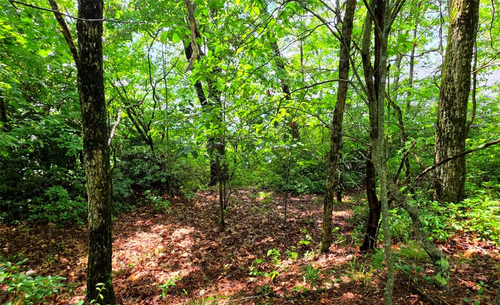 Lot 2 Eagle Ridge Road Sapphire, NC 28774