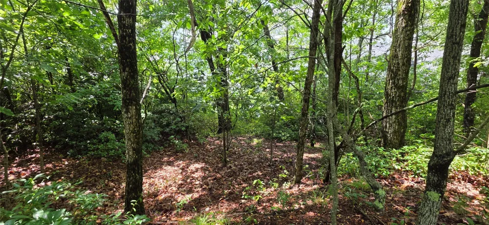 Lot 2 Eagle Ridge Road Sapphire, NC 28774