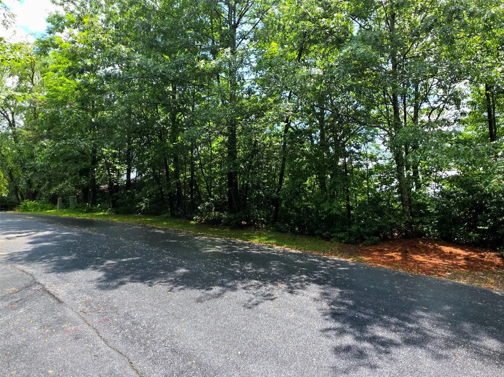 Lot 2 Eagle Ridge Road Sapphire, NC 28774