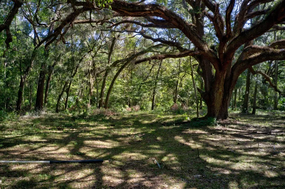 5005 SW 63RD BOULEVARD Gainesville, FL 32608