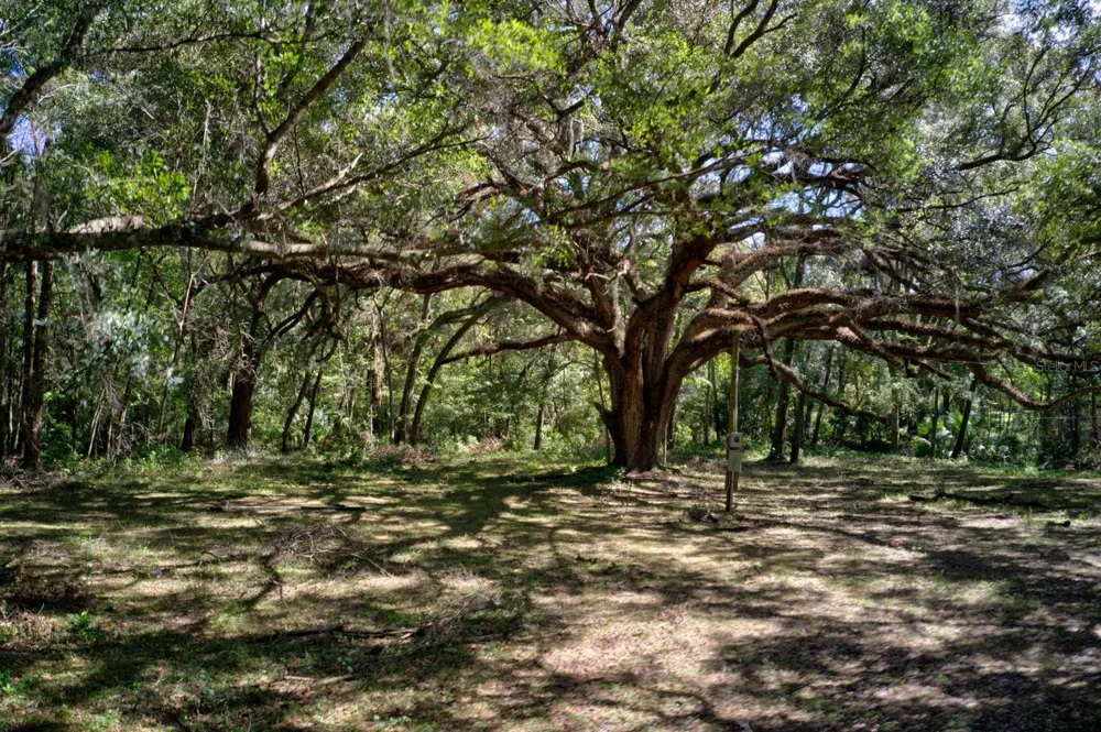 5005 SW 63RD BOULEVARD Gainesville, FL 32608