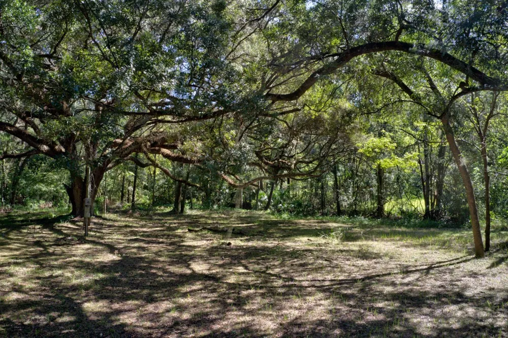 5005 SW 63RD BOULEVARD Gainesville, FL 32608