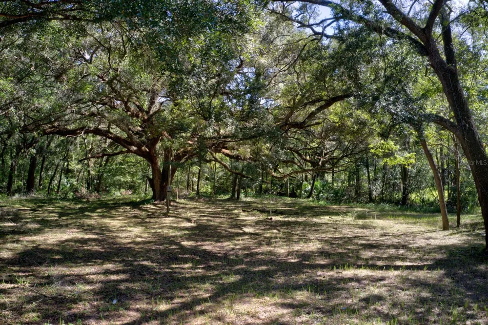 5005 SW 63RD BOULEVARD Gainesville, FL 32608