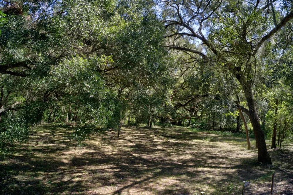 5005 SW 63RD BOULEVARD Gainesville, FL 32608