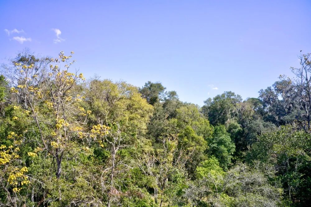 5005 SW 63RD BOULEVARD Gainesville, FL 32608