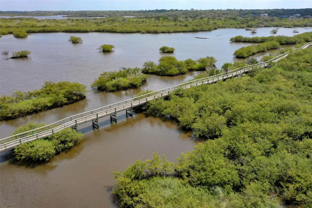 222 STILLWATER DRIVE Flagler Beach, FL 32136